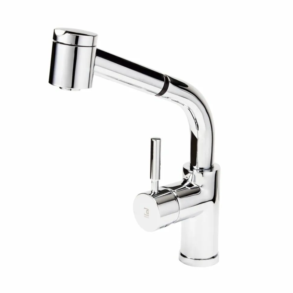 Grifo De Cocina Caño Alto Con Ducha Extensible Theo 1 Función – 8649600 – Galindo