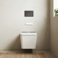 Inodoro Suspendido Con Función De Lavado Agua Fria Y Caliente Smart Toilet Con Display Blanco – Isla – Mizubath – HNMISLA0010012
